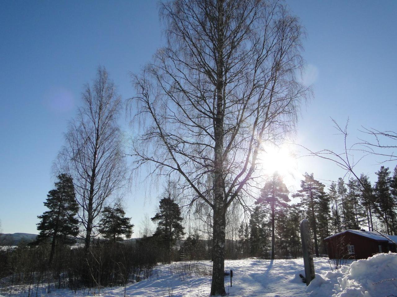 Sunne Hembygdsgård B&B Eksteriør bilde